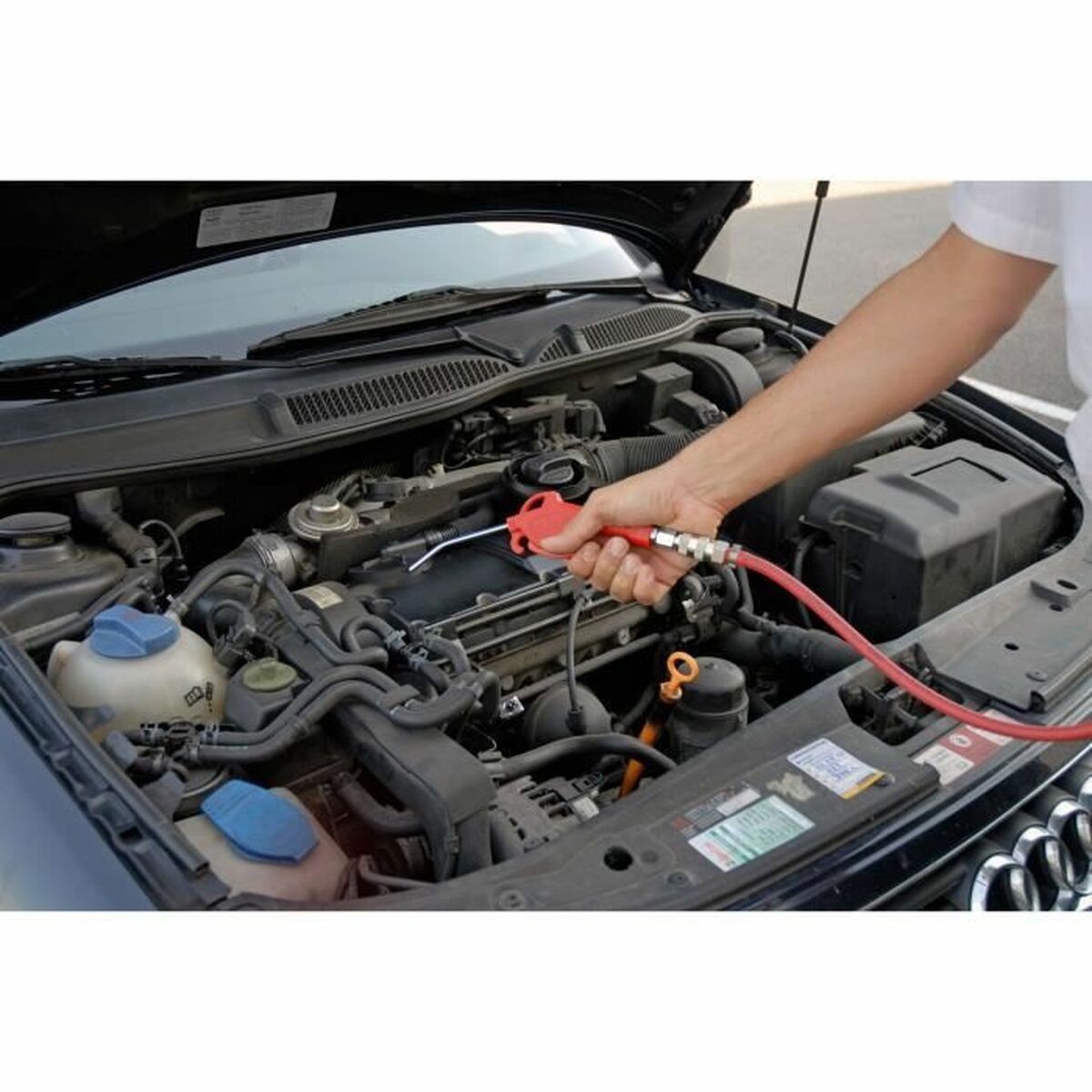 V8H81D3E2BE1A7B1E14909935D051BF5F12R7022367P5