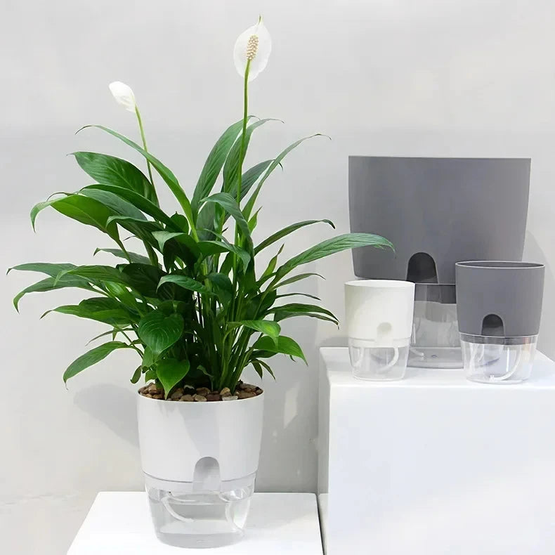 Transparante Dubbele Laag Bloempot – Zelfbewaterende Plantenpot met Katoenen Lont en Vulopening - 
Gratis verzending in Nederland