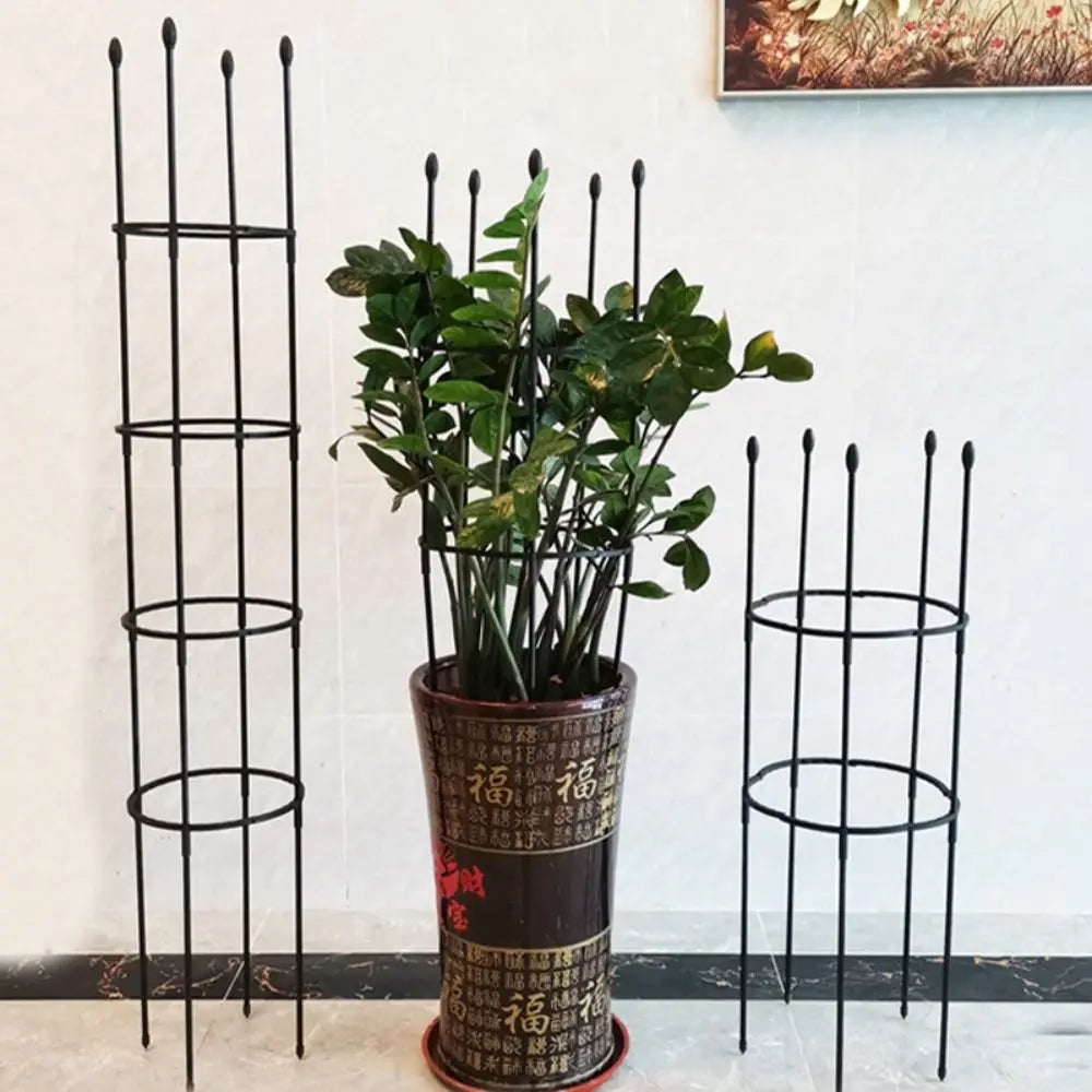 Plantenrek Trellis - 
Gratis verzending in Nederland