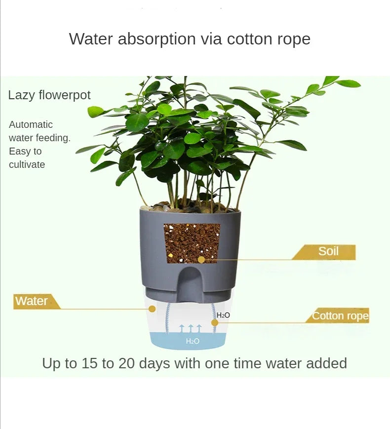 Transparante Dubbele Laag Bloempot – Zelfbewaterende Plantenpot met Katoenen Lont en Vulopening - 
Gratis verzending in Nederland
