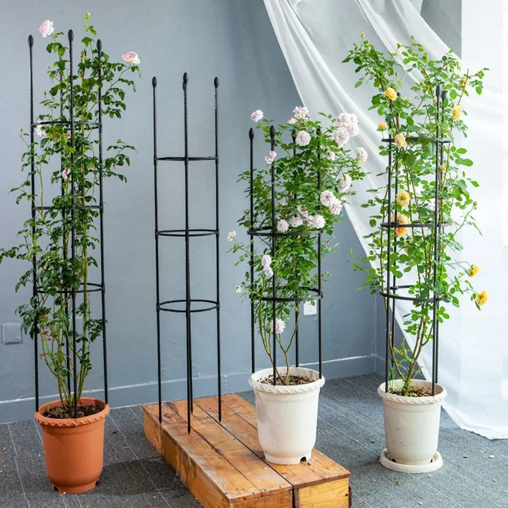 Plantenrek Trellis - 
Gratis verzending in Nederland