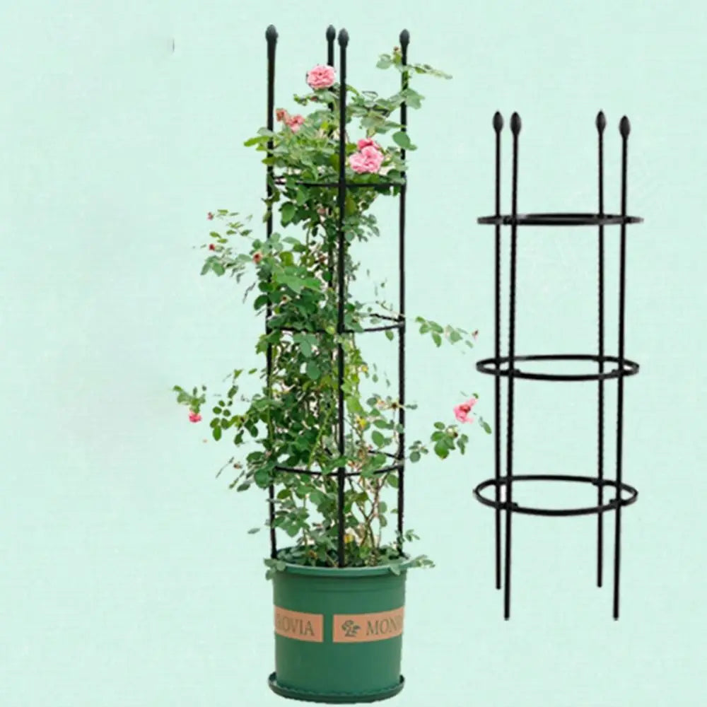 Plantenrek Trellis - 
Gratis verzending in Nederland