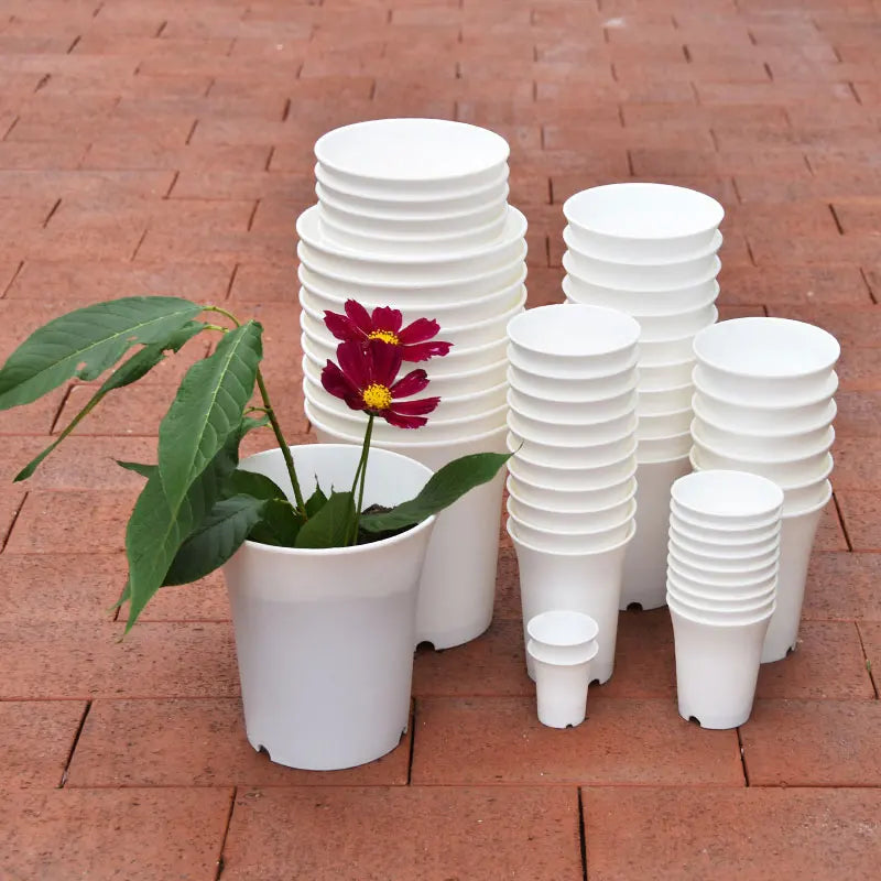 10 stuks Dikke Bloempotten - Gratis verzending in Nederland
