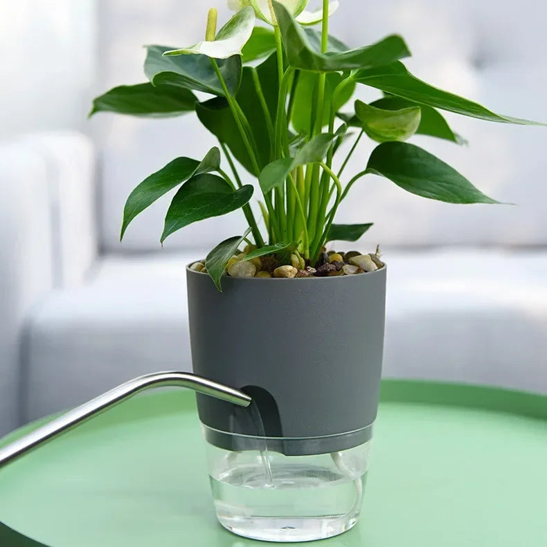 Transparante Dubbele Laag Bloempot – Zelfbewaterende Plantenpot met Katoenen Lont en Vulopening - 
Gratis verzending in Nederland